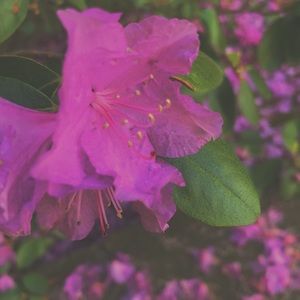 Meet your Posher, Mae